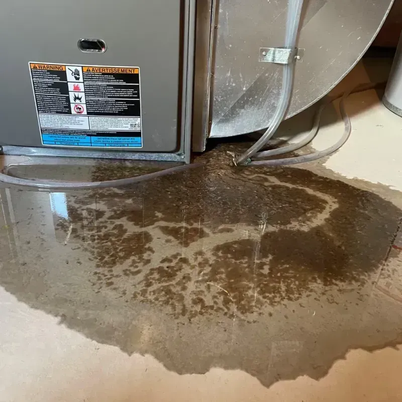 Appliance Leak Cleanup in Marine City, MI